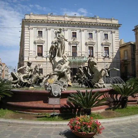 Zecchino Syracuse